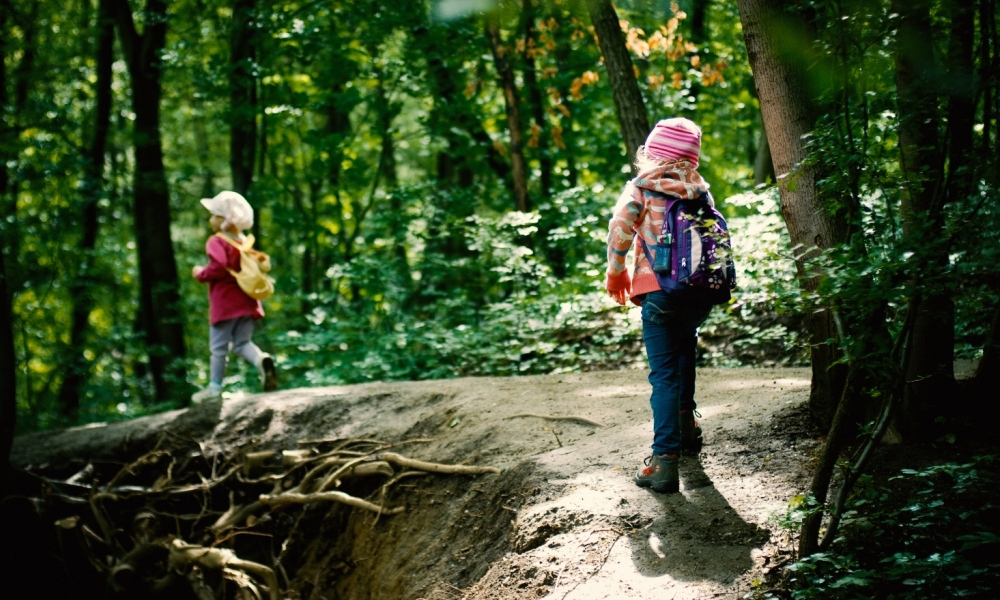 Nature Pedagogy - inside, outside and beyond