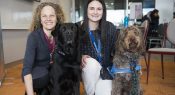 Podcast: Therapy dogs in school settings