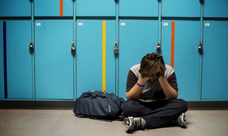 School bullying victims' perceptions of perpetrators
