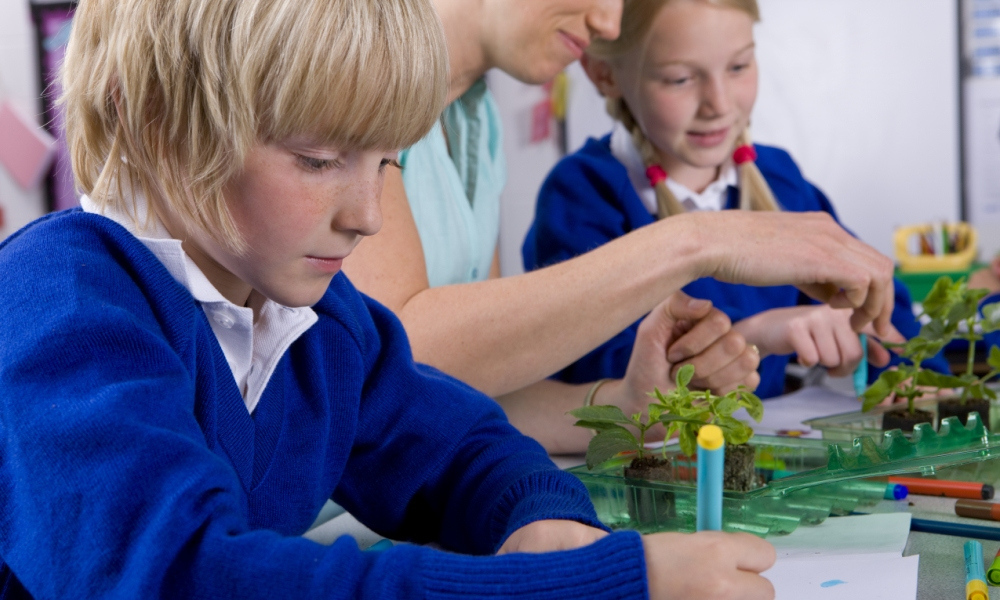 STEM learning – international best practice