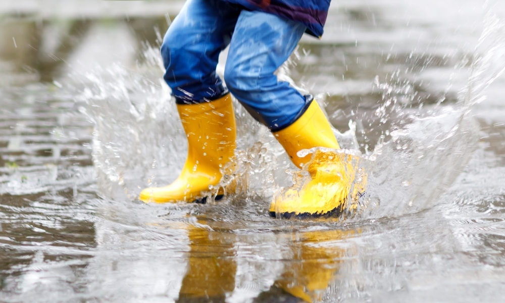 Student engagement with nature – the value of a puddle