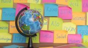 Valuing multilingual students' skills